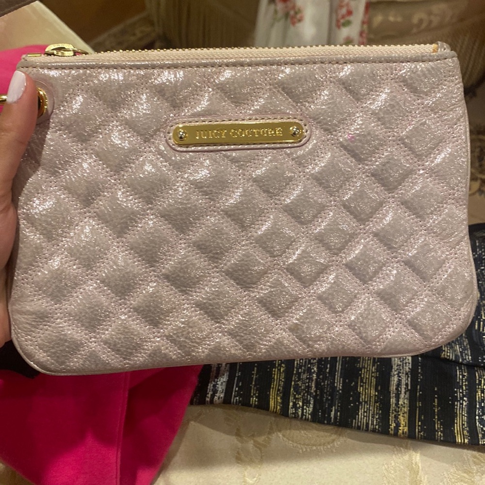 Pink Juicy Clutch Wristlet